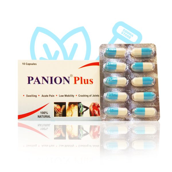 PanionPlus